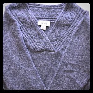 Ann Taylor sweater
